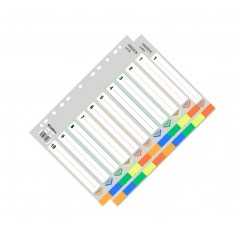 齐心 IX902分类纸 十色索引纸 塑料隔页纸 11孔PP彩色10页A4分页纸