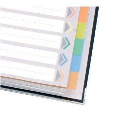 齐心 IX902分类纸 十色索引纸 塑料隔页纸 11孔PP彩色10页A4分页纸