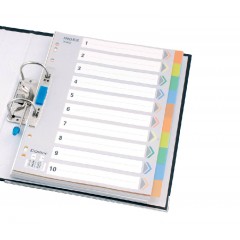 齐心 IX902分类纸 十色索引纸 塑料隔页纸 11孔PP彩色10页A4分页纸