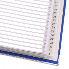 齐心 IX899月度索引纸 31页分页纸1-31索引纸 隔页纸11孔A4易分类