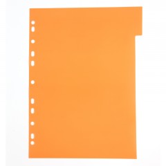 齐心 IX901分类纸 五色索引纸 塑料隔页纸 11孔PP彩色5页A4分页纸