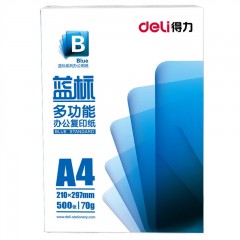 得力 蓝标70g 80G 打印复印纸A4纸办公用纸5包/箱