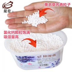 能臣 除湿盒薰衣草吸湿盒干燥剂室内吸湿芳香防潮除湿剂防霉230g*9