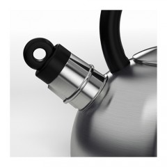 瓦滕特 鸣叫水壶, 不锈钢  烧水壶鸣音报沸水壶