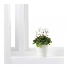 穆斯克特 装饰用花盆, 白色