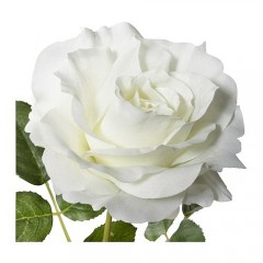 SMYCKA 思米加 人造花, 玫瑰   仿真花