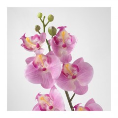 思米加 人造花 兰花 粉红色