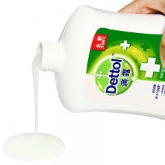 滴露 洗手液健康抑菌洗手液经典松木500g