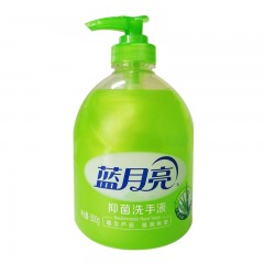 蓝月亮 500g芦荟洗手液+500g立袋装1包