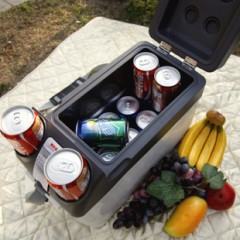 NFA/纽福克斯 12升大容量汽车冷暖冰箱冷藏箱 5238C