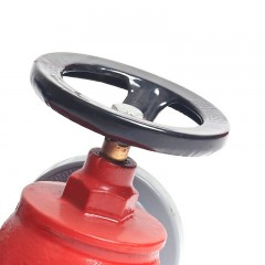 沱雨 室外室内双阀双出口消火栓双头消防栓消防S标志防腐图层 SNSS65