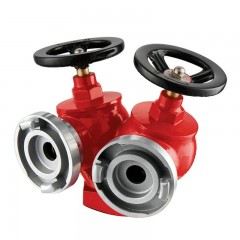 沱雨 室外室内双阀双出口消火栓双头消防栓消防S标志防腐图层 SNSS65