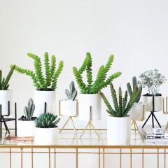 国产 北欧仿真假多肉盆栽室内绿植白陶盆景客厅窗台装饰小摆件拍摄假花