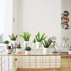国产 北欧仿真假多肉盆栽室内绿植白陶盆景客厅窗台装饰小摆件拍摄假花