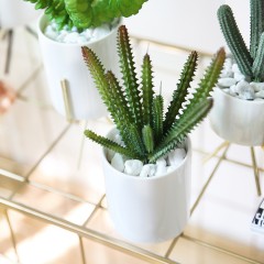 国产 北欧仿真假多肉盆栽室内绿植白陶盆景客厅窗台装饰小摆件拍摄假花