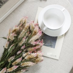 国产 天然浪漫粉色多头凤尾花干花束真花卧室插花家居装饰拍摄道具