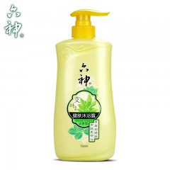 六神 艾叶健肤止痒型沐浴露750mlx2瓶改善发痒汗味问题 清新怡人
