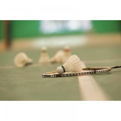 迪卡侬 羽毛球12只装一级鸭毛训练球外耐打比赛训练球练习BMT