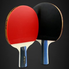 国产 乒乓球拍双拍 初学者小学生儿童训练成品拍套装直拍横拍2只装