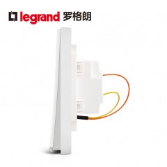 罗格朗 大面板双开二开单控二位面板家用双联电灯开关2开墙壁