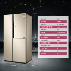 LG  双门大电冰箱 GR-M2473JVY