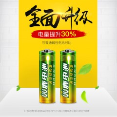 双鹿 碱性5号电池10粒 LR6