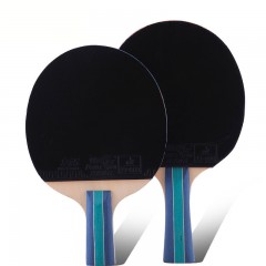 双鱼 2A二星乒乓球拍双拍初学者2只装ppq乒乓球拍七层底板直拍横拍