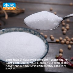 粤盐牌 加碘250g澳洲天然湖盐冰晶盐高端进口调料盐