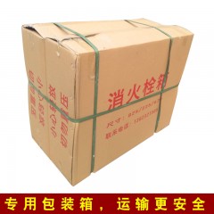 国产 消防箱室内消火栓箱800*650*200/240消防器材水带箱灭火器箱 SG24A65