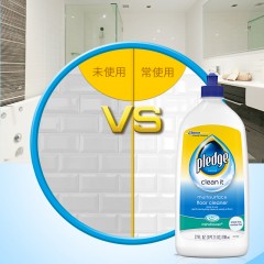碧丽珠 瓷砖清洁剂适用多种表面安全温和配方