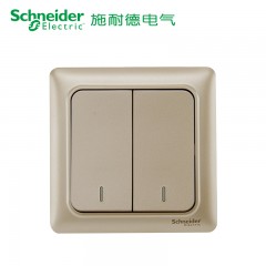 施耐德 电气 二开二位双联单控 墙壁电源开关插座面板10A 睿意金