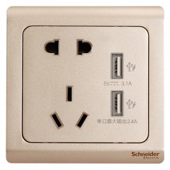 施耐德 开关插座 面板 轻逸金色 10A五孔电源带开关插座 带双USB