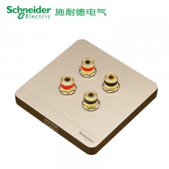 施耐德 双联四孔音响插座 音箱弱电面板 绎尚金
