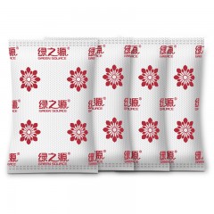 绿之源 新房装修新车汽车家用去除甲醛清除剂除味活性炭包碳包160