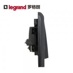 罗格朗 黑色双开单控带LED指示灯2开面板家用二位电灯开关双联