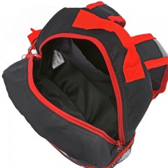 Disney/迪士尼  赛车总动员卡通宝宝背包幼儿园书