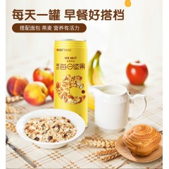 洽洽 饮品坚果先生坚果乳植物蛋白饮料240ml*12罐
