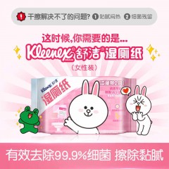 舒洁  女性湿巾纸便携湿巾独立包装湿厕纸24片*2包*20月子会所专用