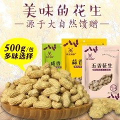 国产 犇王家族花生500gx6袋蒜香花生米湿烤水煮咸干零食带壳红五香花生