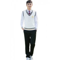 国产 校服套装韩版秋季英伦学院风班服 M码