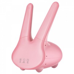 绿之源 家用智能干鞋机烘鞋器儿童干鞋器冬季暖鞋器烘干机器去异味