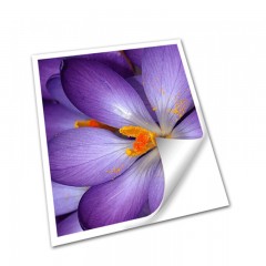 ☆盆景 BONSAII 优质三层塑封膜/护卡膜 照片文件过塑膜过胶膜 A6 厚80MIC 100张