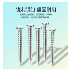 ☆胜为 SHENGWEI CK-4100 工程圆形钢钉线卡 10MM 100个/包