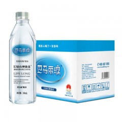 ☆巴马丽琅 长绿山神仙泉天然矿泉水 商务泡茶饮用水 500ML*12 礼盒装