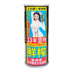 椰树 罐装椰汁245ml*24罐  100箱起订