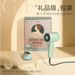 素士 RH1 家用负离子电吹风 绿色 单位：个