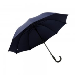 天堂伞-193E-直杆自开晴雨伞 70cm*10骨-颜色随机-单位：把-起订量10把