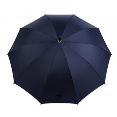 天堂伞-193E-直杆自开晴雨伞 70cm*10骨-颜色随机-单位：把-起订量10把