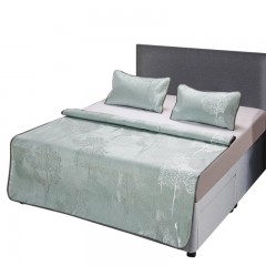 芳恩家纺 X5007-2B 艾草双面冰丝席套装 120*195cm一席一枕套 单位：套