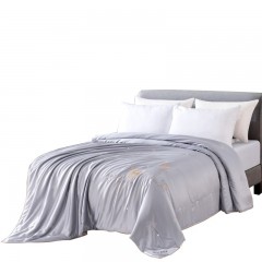 芳恩家纺 FN-B6033 简约奢享蚕香被 夏天水洗空调被单人夏被芯 灰色 200x230cm 单位：床